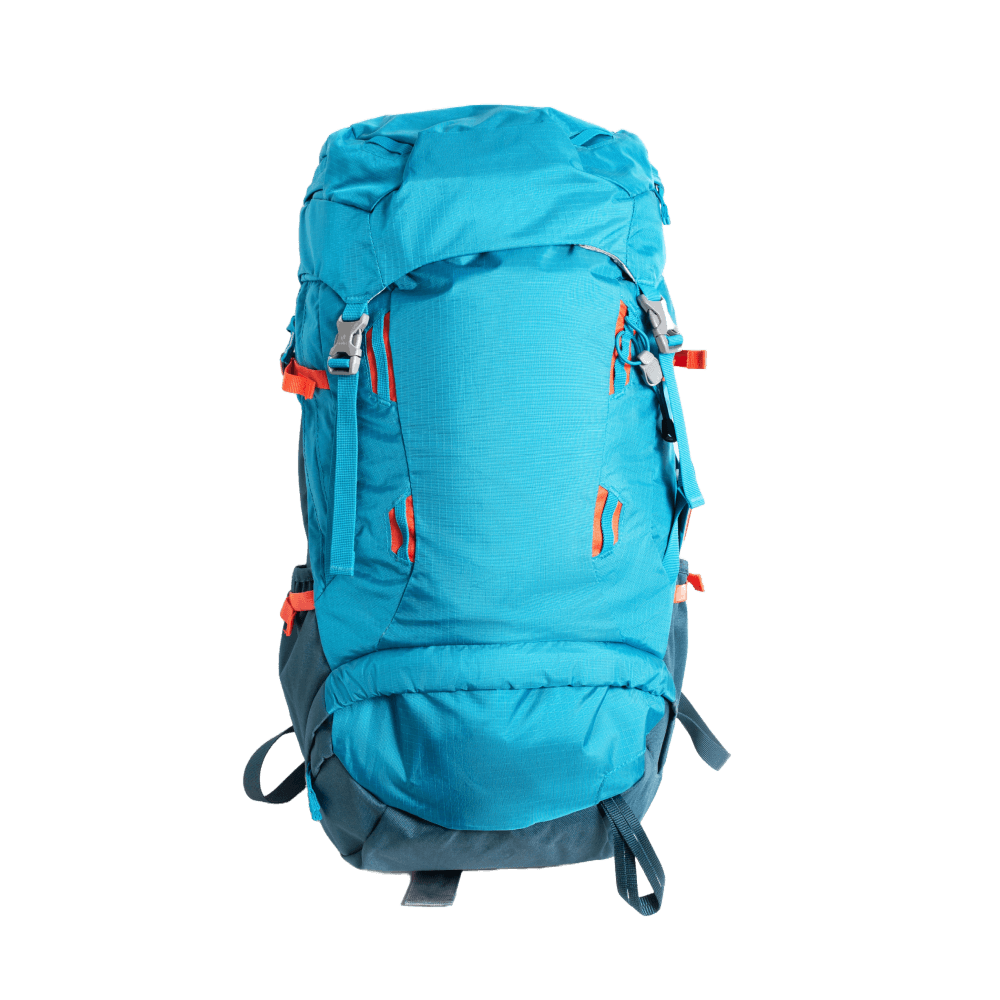 Travel Backpack - Image 2