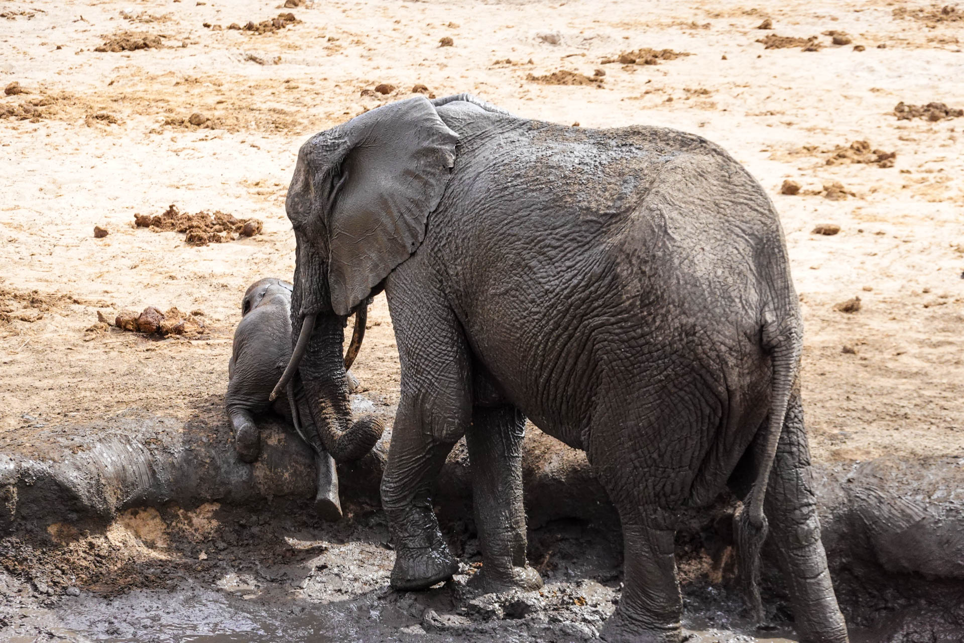 Best Safari Vacations With Fondness Vacations (78)