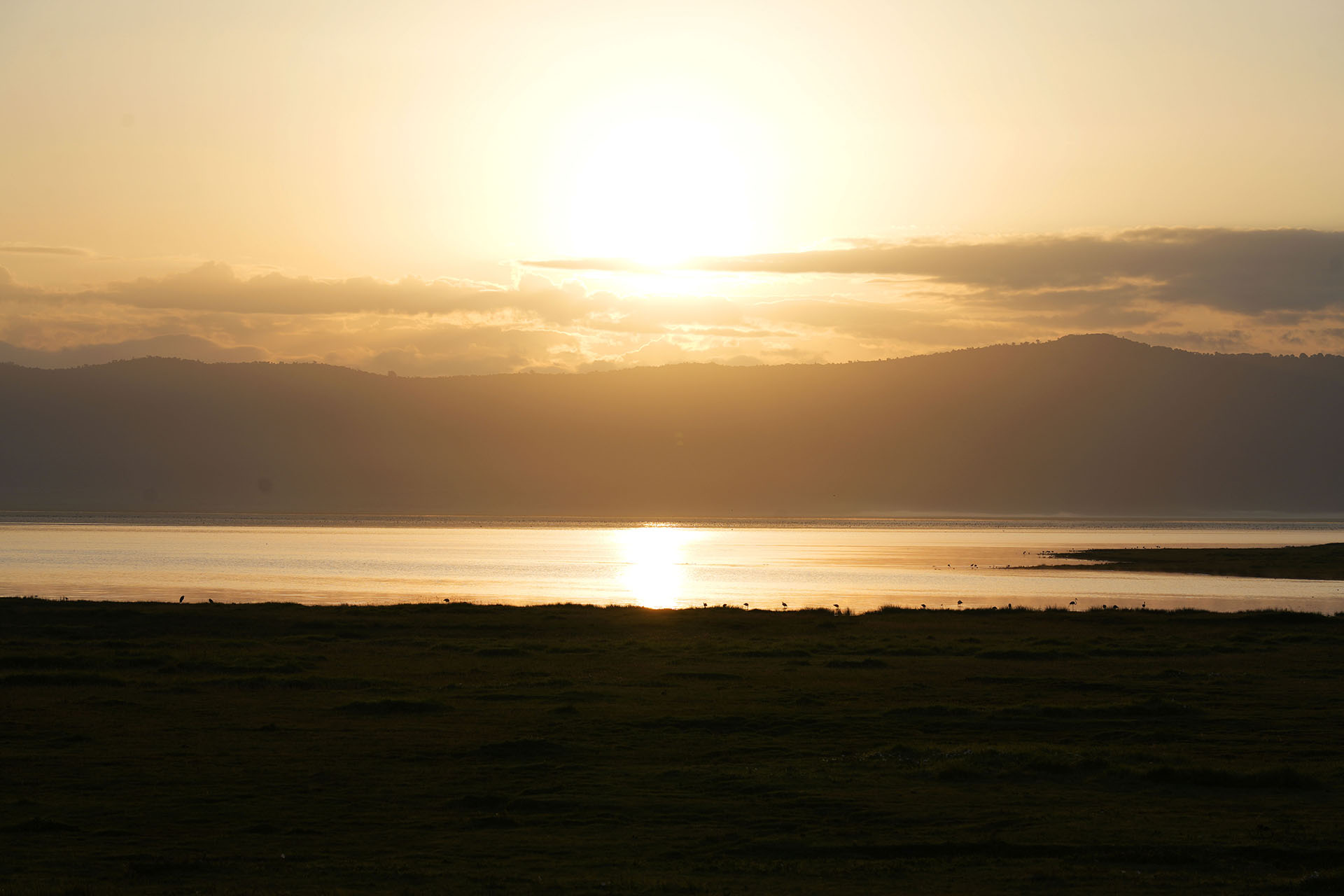 ngorongoro crater affordable safari